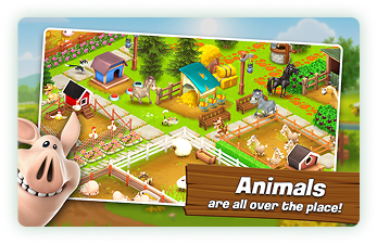 Animal section of a farm